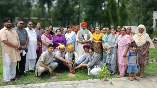 On the occasion of Giani Dan Singh Sangha's fifth death anniversary, 250 saplings of different types were planted in the complex of Government Middle School Langeri.